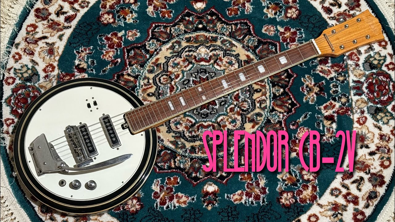 EKO Model395 エレキギター フルアコ ヴァイオリンギター ビザール EKO