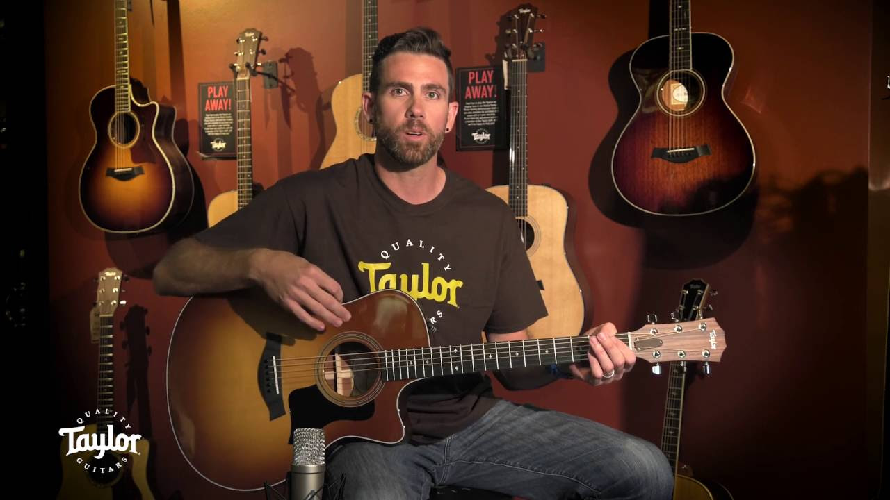300 Series Limited Acoustic Guitars-316ce-Taylor Guitar - YouTube