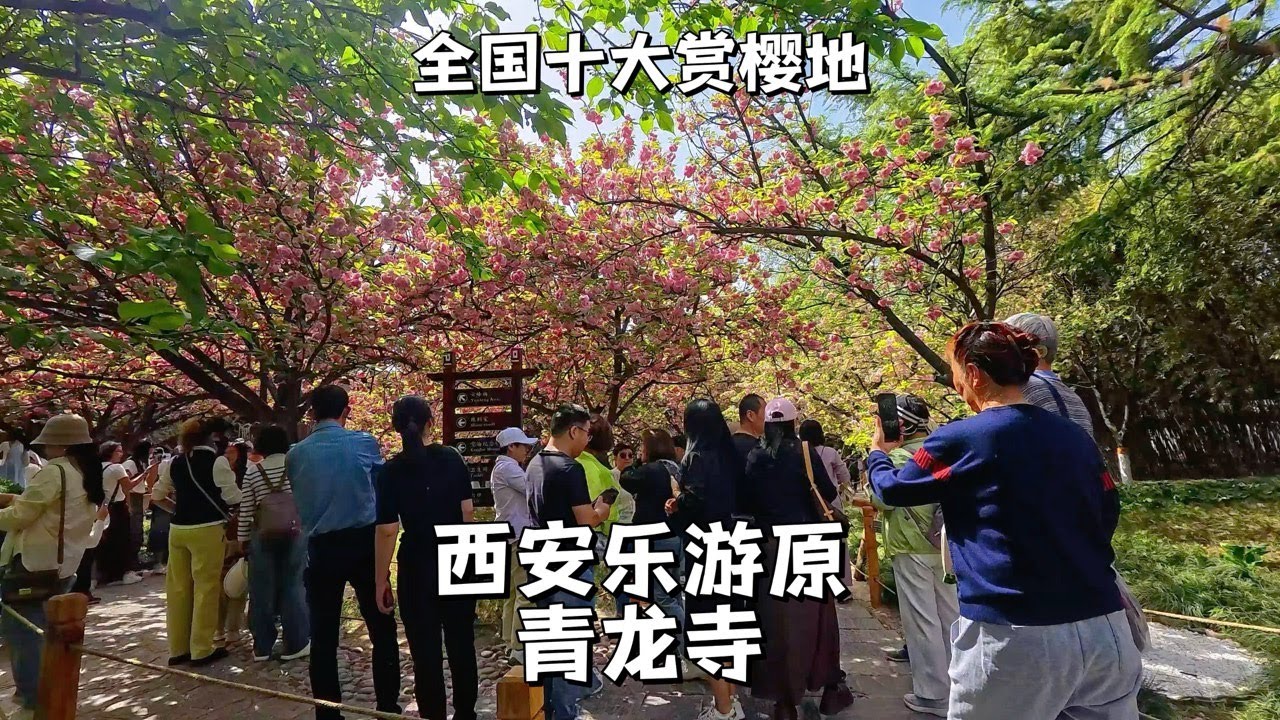 西安樂遊原青龍寺，唐宗祖庭，中日友好文化地標，絕佳賞櫻地The