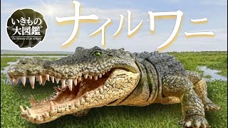 いきもの大図鑑 アルティメット ナイルワニ 開封レビュー 素晴らしい