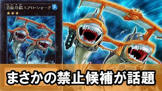 ゆっくり解説】潜航母艦エアロシャークさん、いきなり大化けして禁止