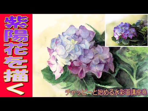 Watercolor tutorial for beginners: Draw hydrangeas! How to draw