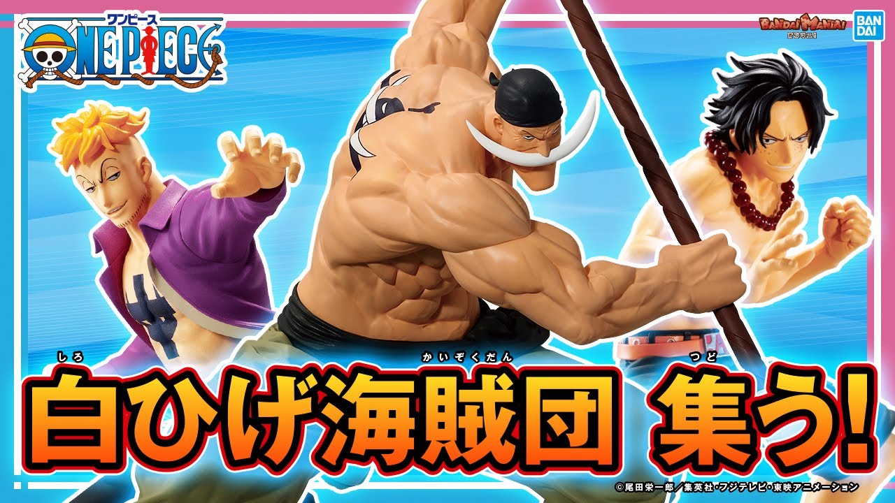 4月登場！ワンピースプライズアイテム！白ひげ海賊団好きには