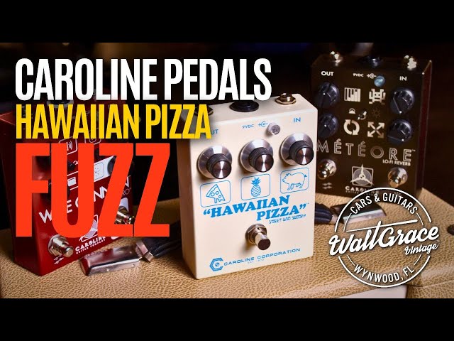 Caroline Guitar Company Hawaiian Pizza Sweet and Savory Fuzz Pedal