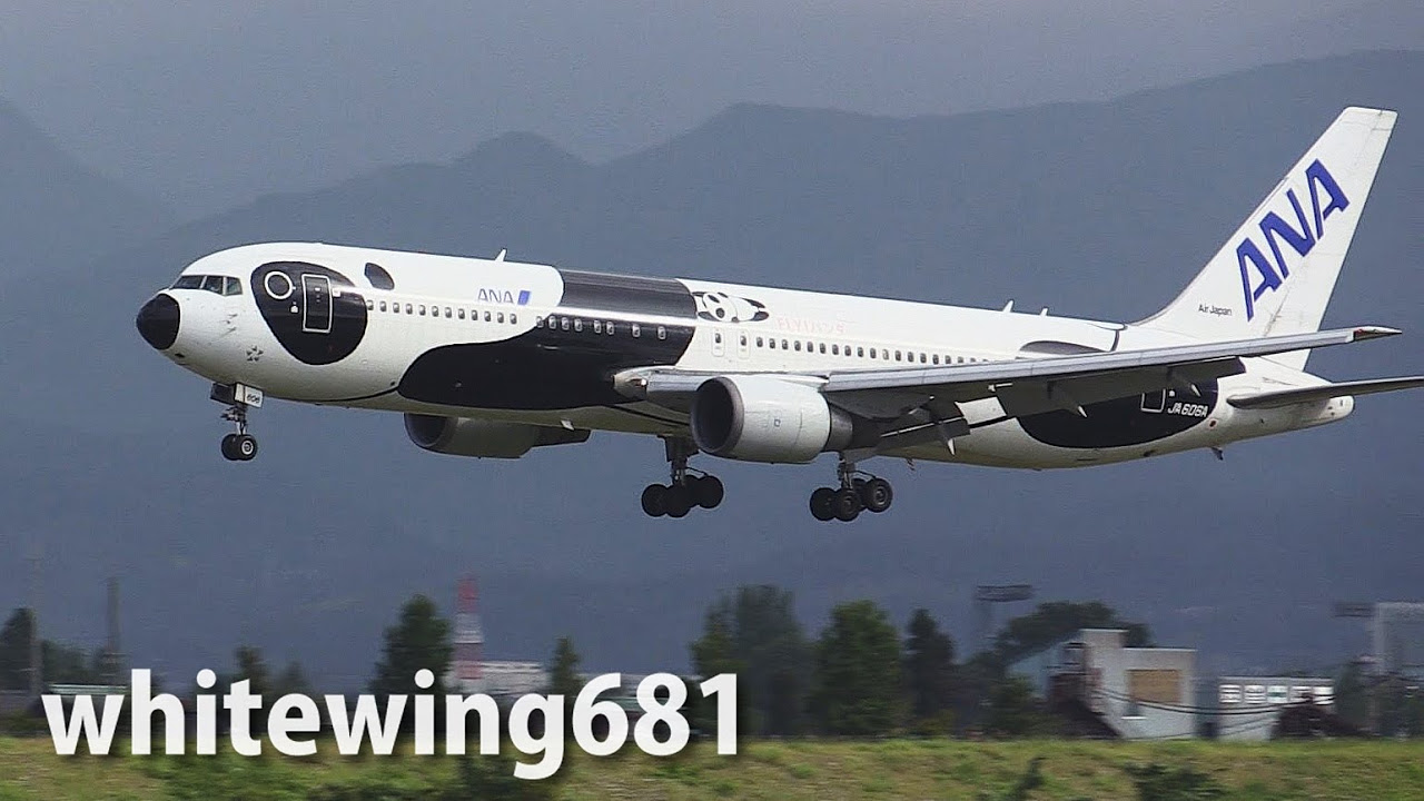 Phoenix 04218 全日空 B767-300ER JA606A パンダ Phoenix 04218 全日空