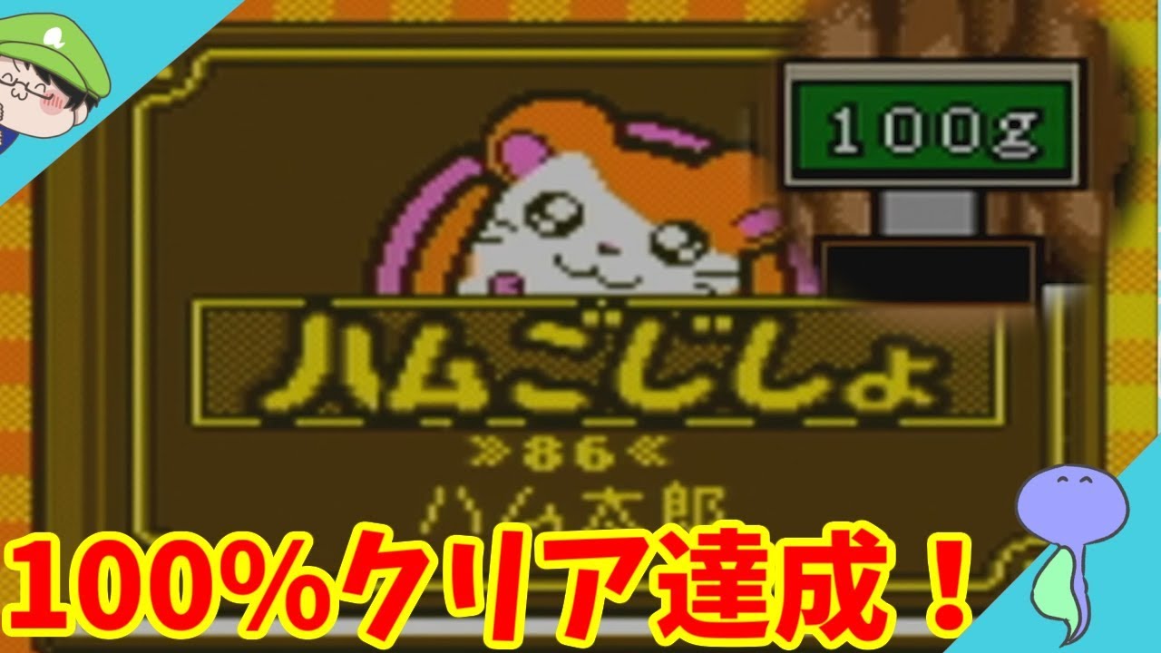隠し要素完全攻略!!!小石集めと辞書完成！なのだ!!-とっとこハム太郎2