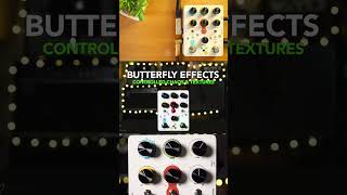 Butterfly Effects Dobbo Granular FX #guitarpedal #butterfly
