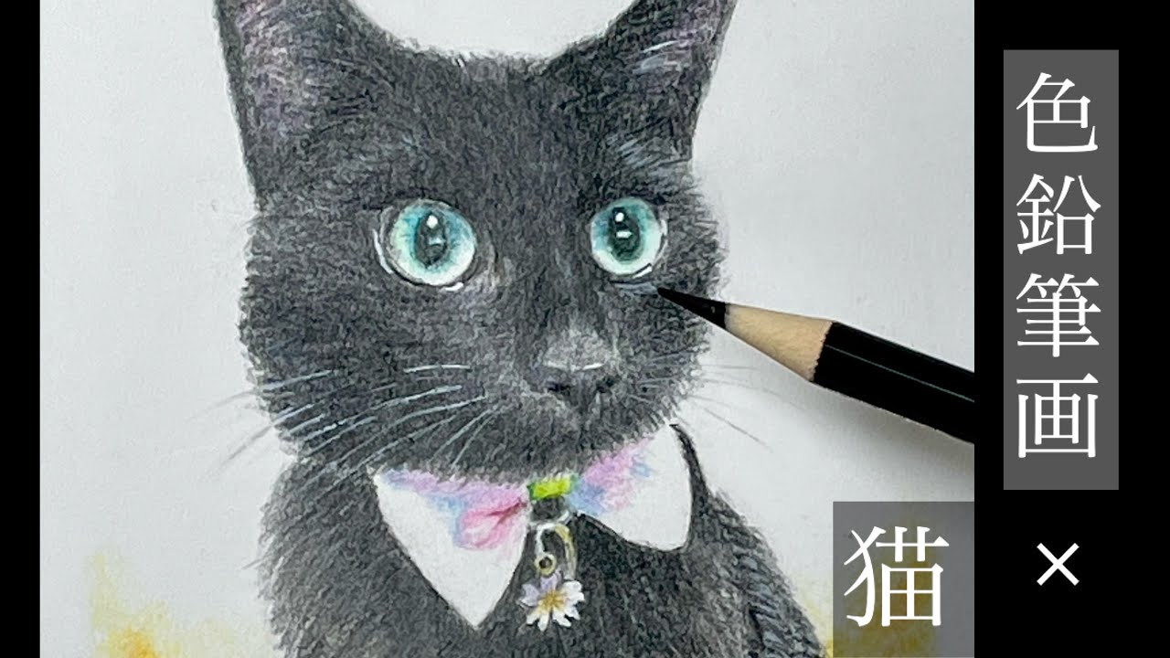 イラスト【色鉛筆画】リアルに挑戦！ 猫ちゃんを描いてみました