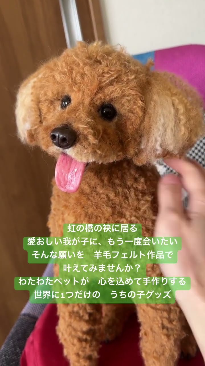 わたわたペットはあなたの大切な愛犬を羊毛フェルトアートに手作りし