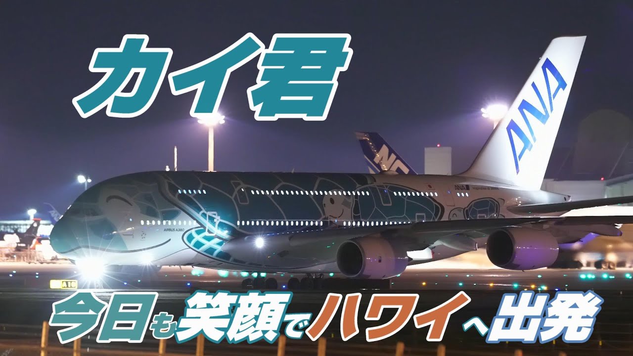 4K】成田空港 ひこうきの丘 フライングホヌ カイ君 今日も笑顔でハワイ