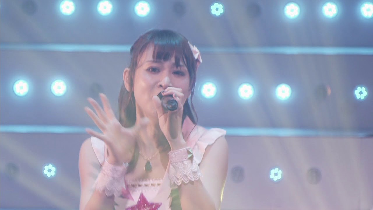 アイカツ！ミュージックフェスタ in アイカツ武道館 Day1 & 2