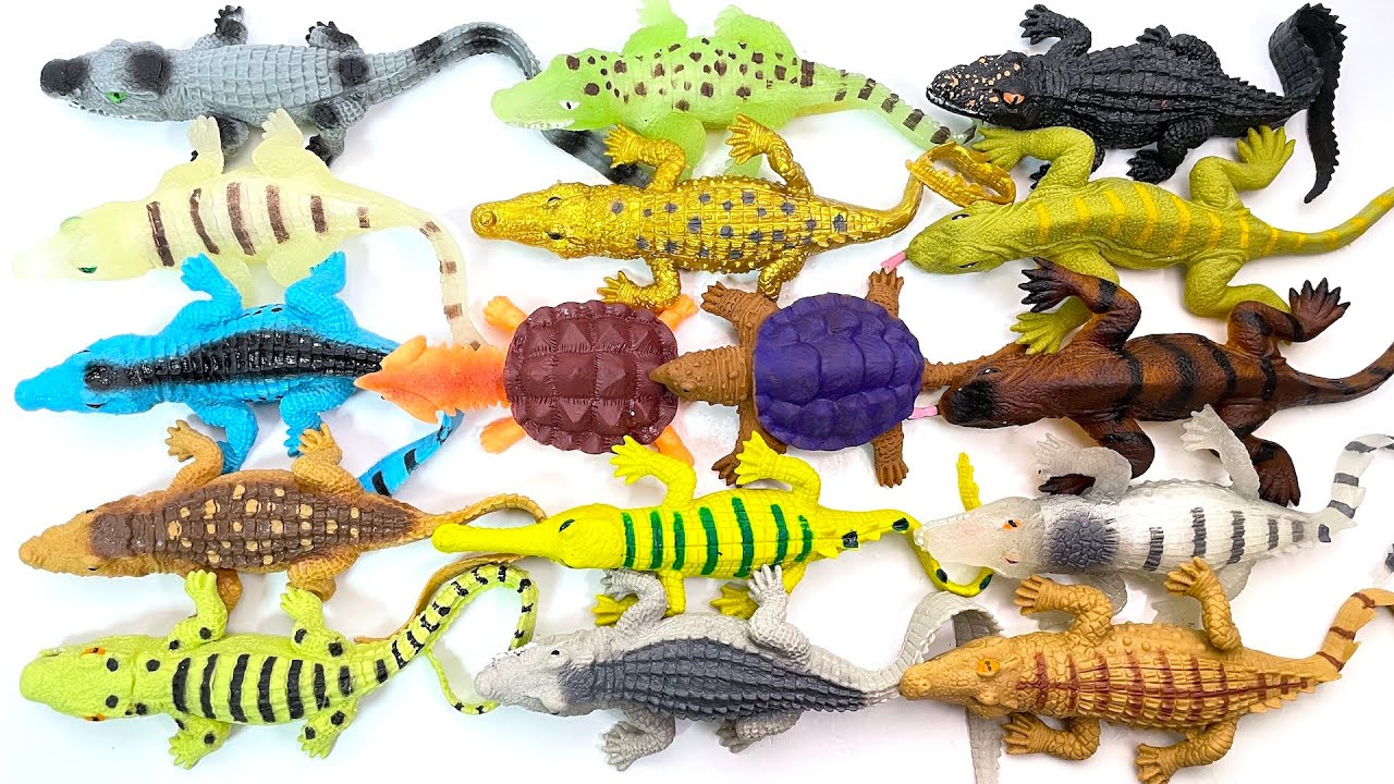 CROCODILES & Co. Toys