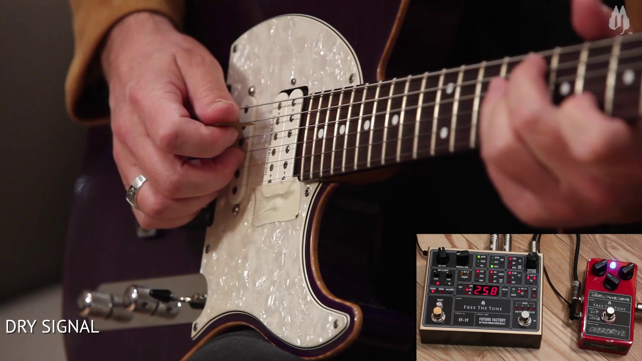 FREE THE TONE FUTURE FACTORY / FF-1Y (Dual Modulation Delay) Demo