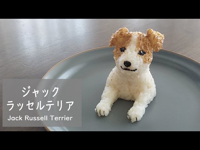 ジャックラッセルテリア（おにぎりアート）Jack Russell Terrier rice