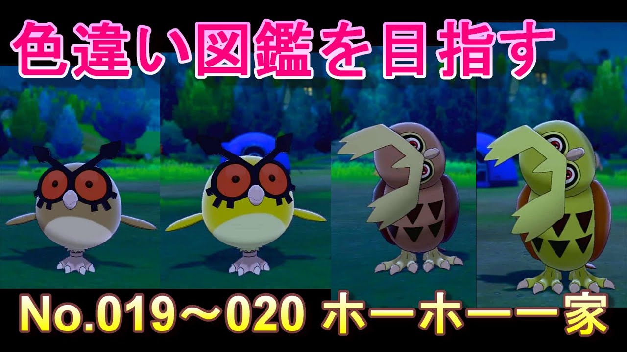 色違い図鑑】No019～020ホーホー一家の場合【ポケモン剣盾】 - YouTube