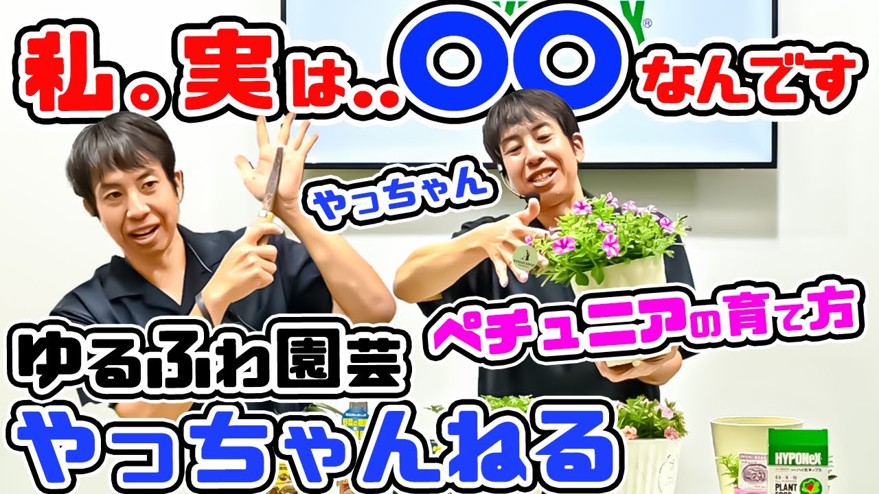 ゆるふわ園芸やっちゃんねる】春の草花、植えつけ&やっちゃんフェス_