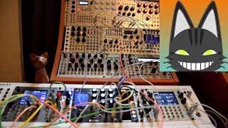 Synthesis Technology E352 Cloud Terrarium - Eurorack Module on