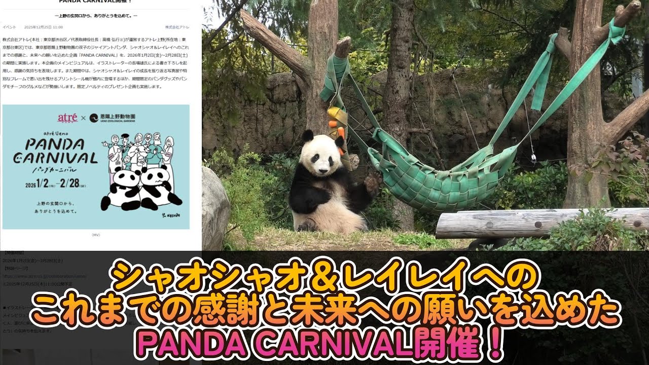 Panda News] PANDA CARNIVAL is being held to express gratitude to