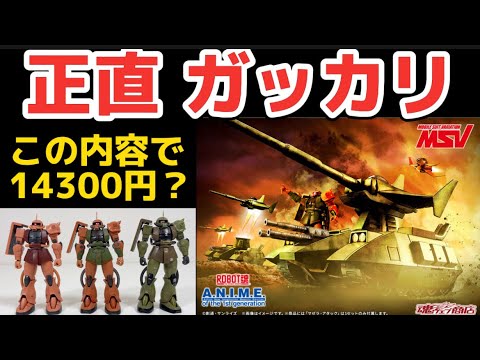 正直ガッカリ】プレミアムバンダイ限定 ROBOT魂 ＜SIDE MS＞ MS-06FS