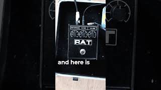 ProCo Rat 2 Red Ikebe Exclusive - Pedal on ModularGrid