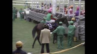 1994年天皇賞（秋） ネーハイシーザー - YouTube