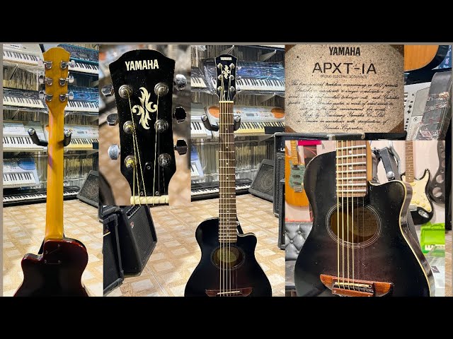 Yamaha APXT-IA Acoustic Guitar ( Wilson's music instruments