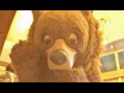 ºoº 超絶レアキャラ ブラザー・ベアのキナイ 来襲！ カリフォルニア