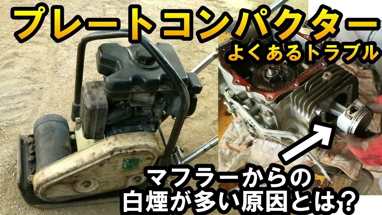 Plate compactor] The inside of a Robin engine that has been