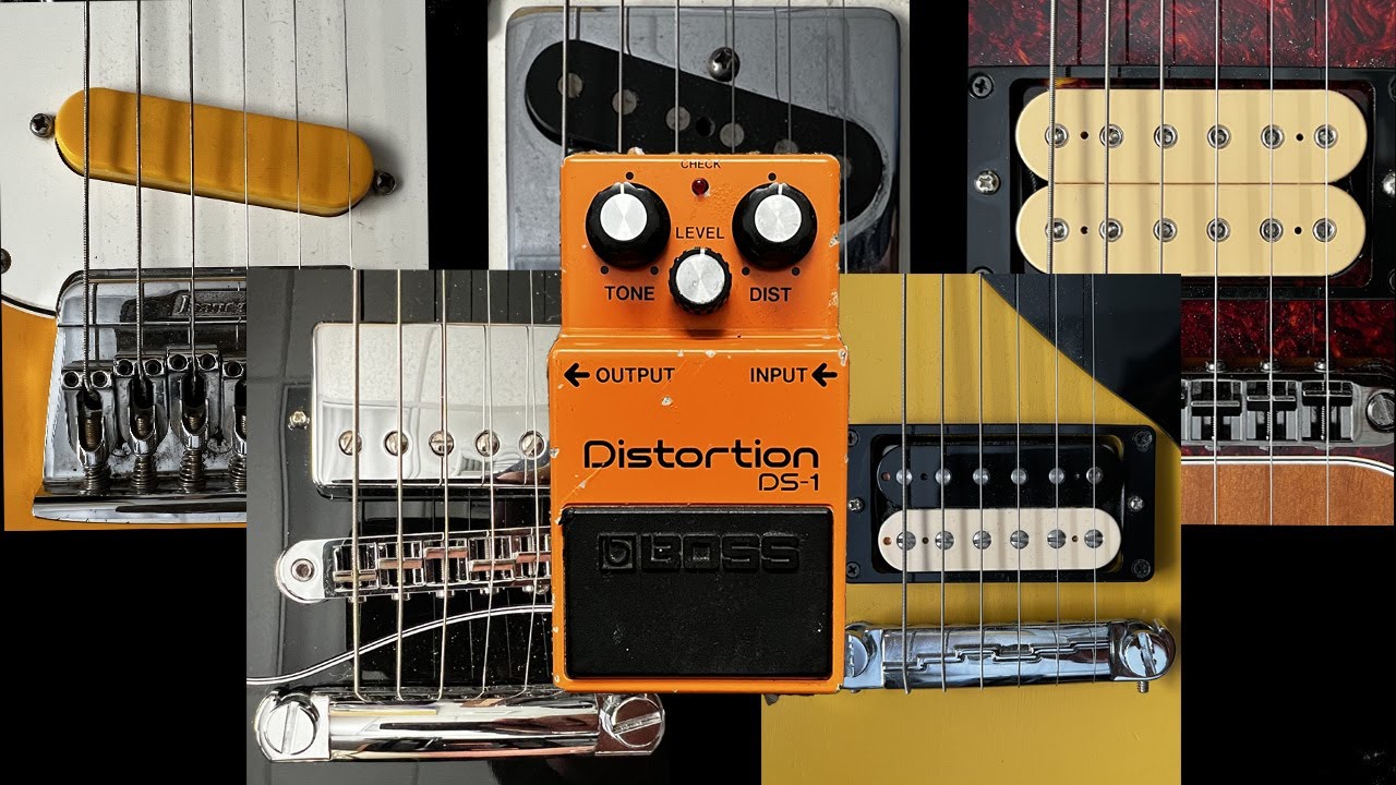 ギター DeliciousTaylormade DS-1 ExtraFAT MOD ギター