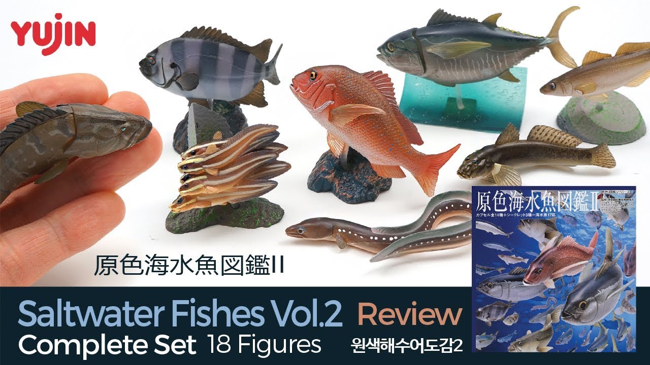18 Realistic Saltwater Fish (Edible) Figures / 原色海水魚図鑑II