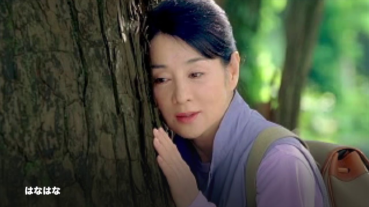 大人の休日倶楽部 山形県『幻想の森』 - YouTube