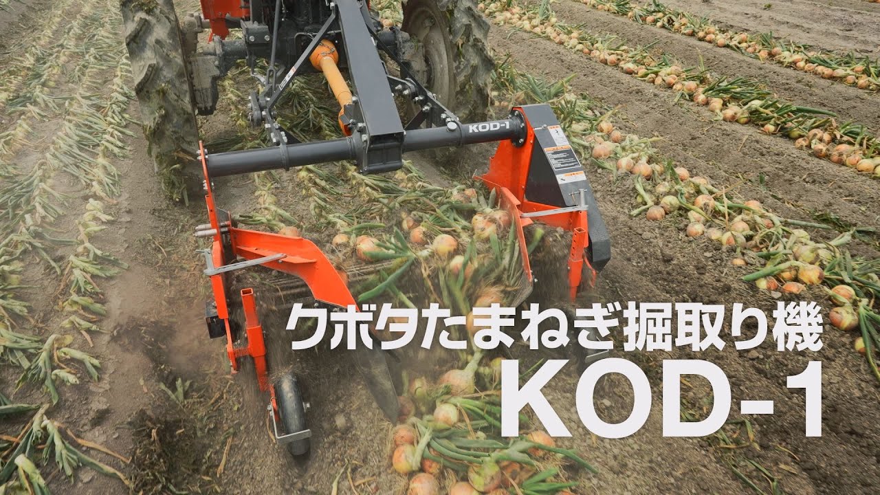 クボタたまねぎ掘取り機 KOD-1 製品紹介ムービー - YouTube