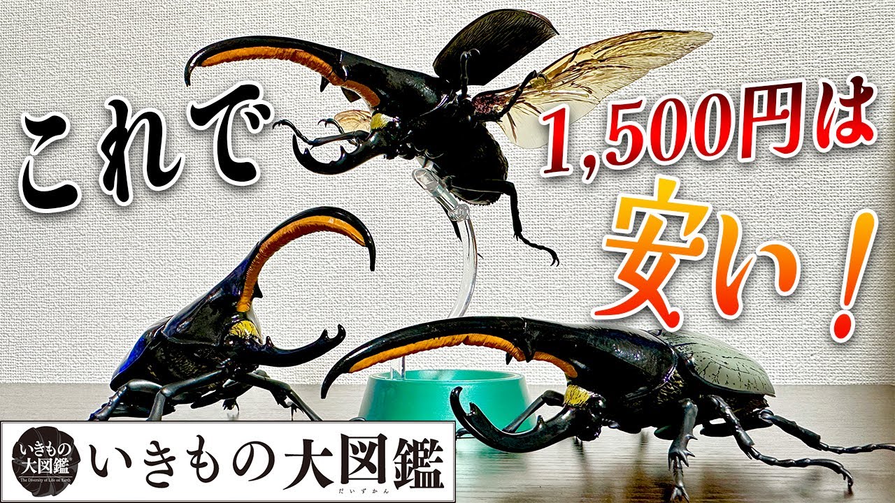 クオリティ高過ぎ】いきもの大図鑑アドバンス ヘラクレスオオカブトを