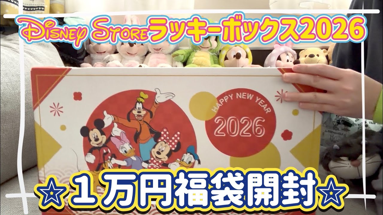 福袋開封】2026年 ディズニーストアの1万円のラッキーボックス開封