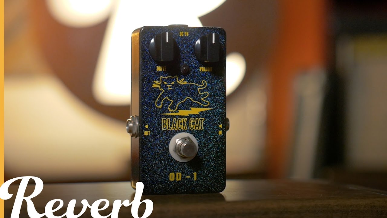 Black Cat OD-1 Freddie Fuzz Pedal | Reverb Canada