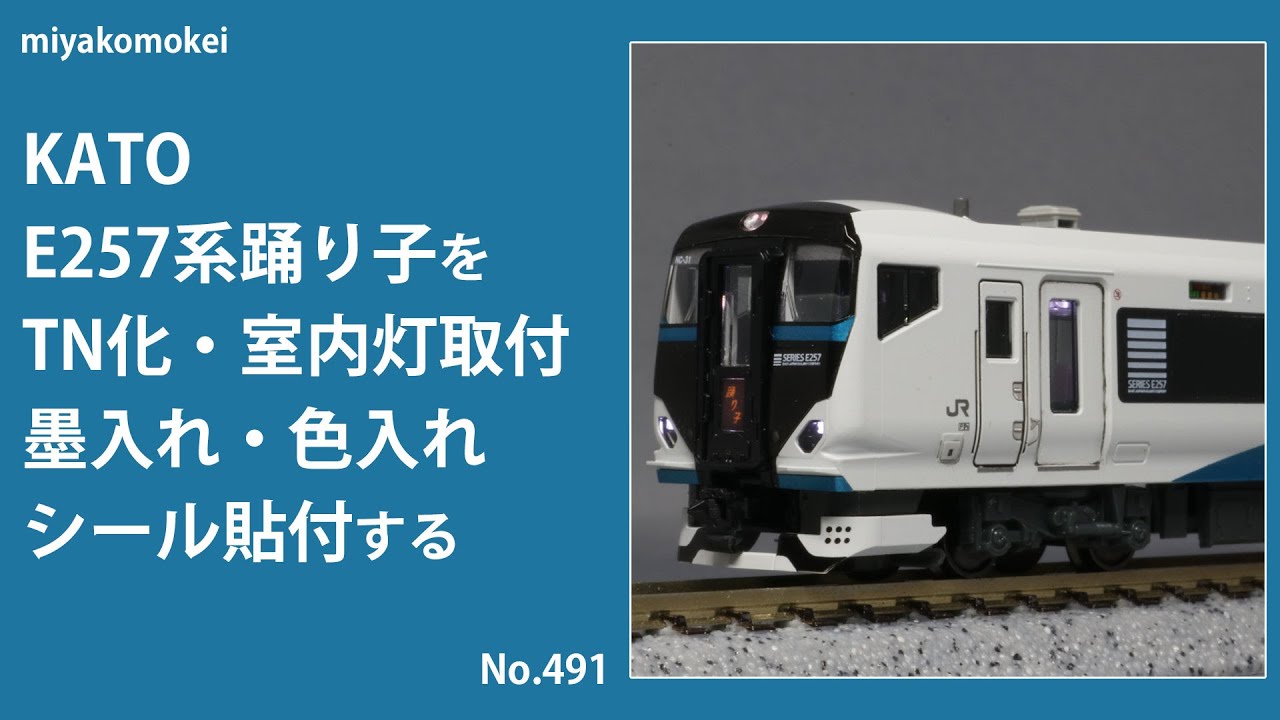 Nゲージ】 KATO E257系踊り子をTN化、室内灯取付、墨入れ・色入れ