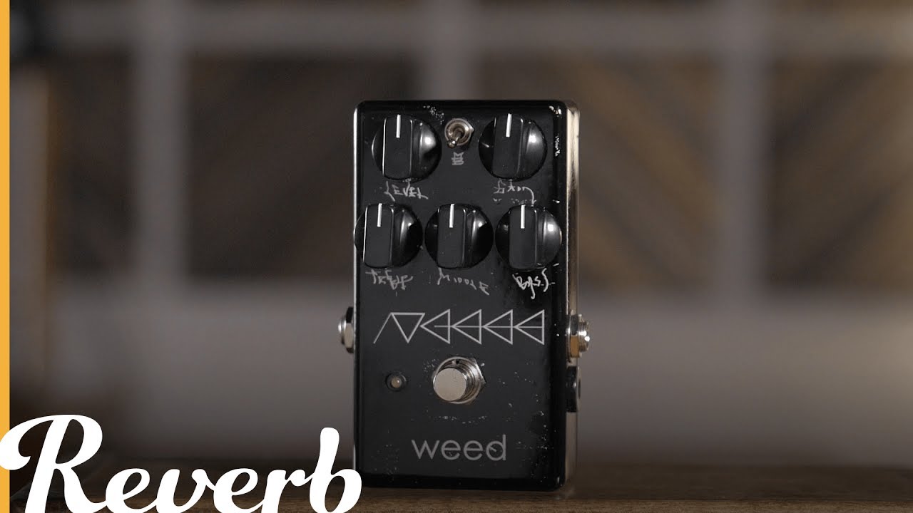 Made In Japan: The UGEEE Distortion by Weed | Reverb Demo Video