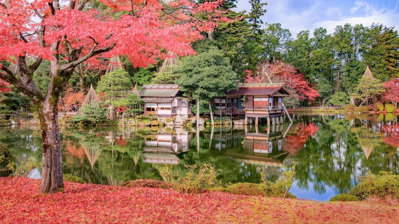 4K ] 日本三名園 金沢兼六園の紅葉 - Autumn Foliage at Kaznazawa