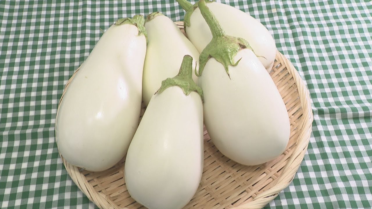 Vegetarian Special] Pure white and rounded 