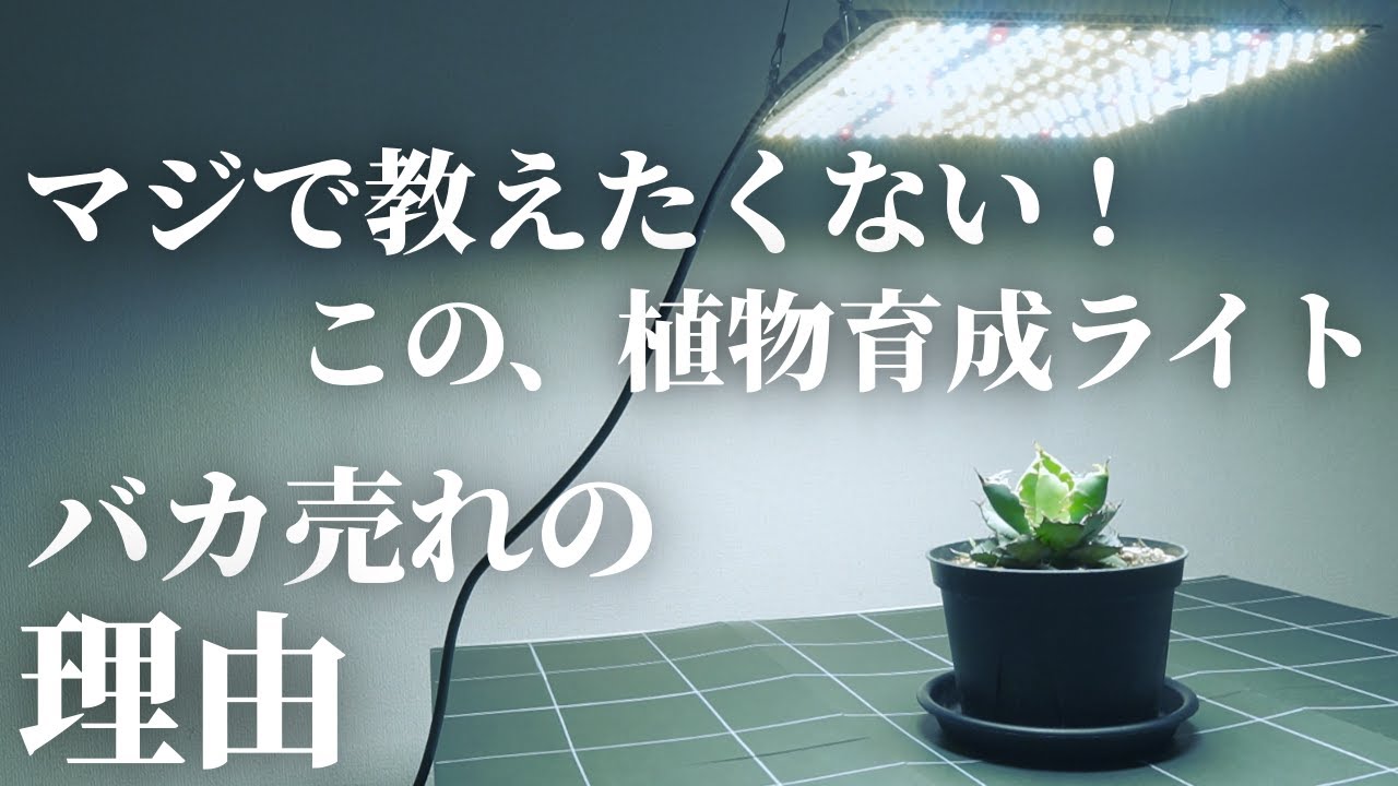 超おすすめ】大本命！植物育成用LEDパネルライト「GL-BOARD 5000