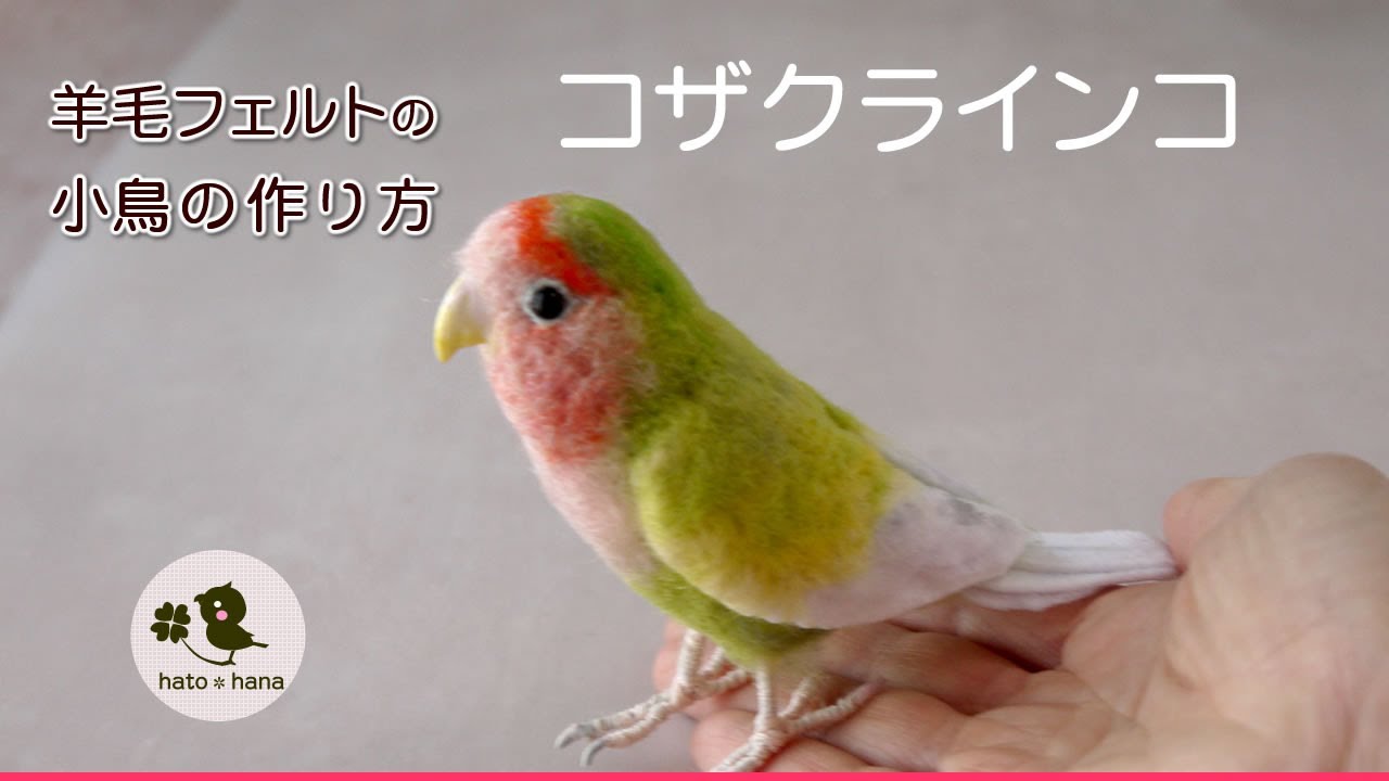 羊毛フェルトの小鳥の作り方】リアルなコザクラインコを作る - YouTube