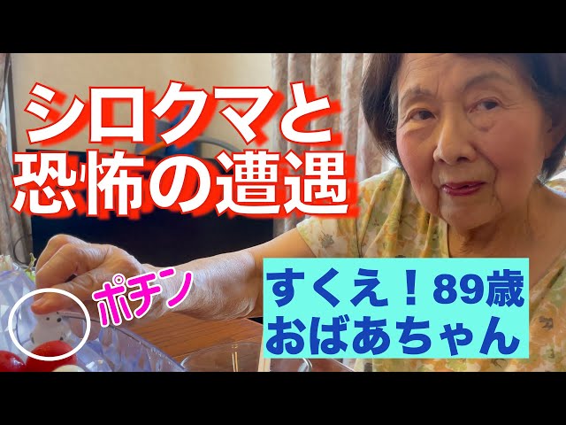 Hidden Switch] Struggling with a cute switch and drifting ice