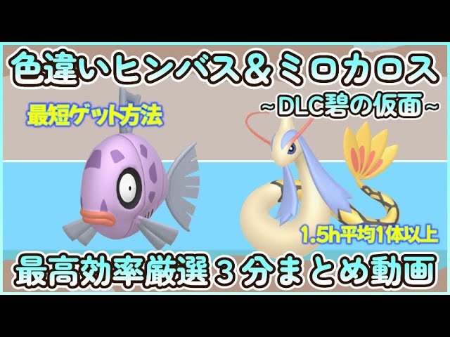 碧の仮面色違いヒンバス＆ミロカロス最高効率厳選3分動画1.5h平均1体