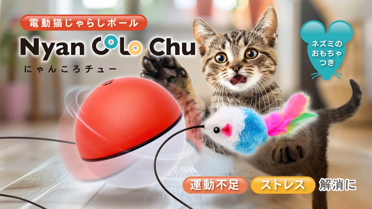 電動猫じゃらしボール にゃんころチュー – 株式会社アクセル