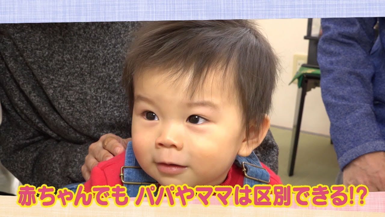 公式】「赤ちゃんでも パパやママは区別できる!?」（1月12日放送