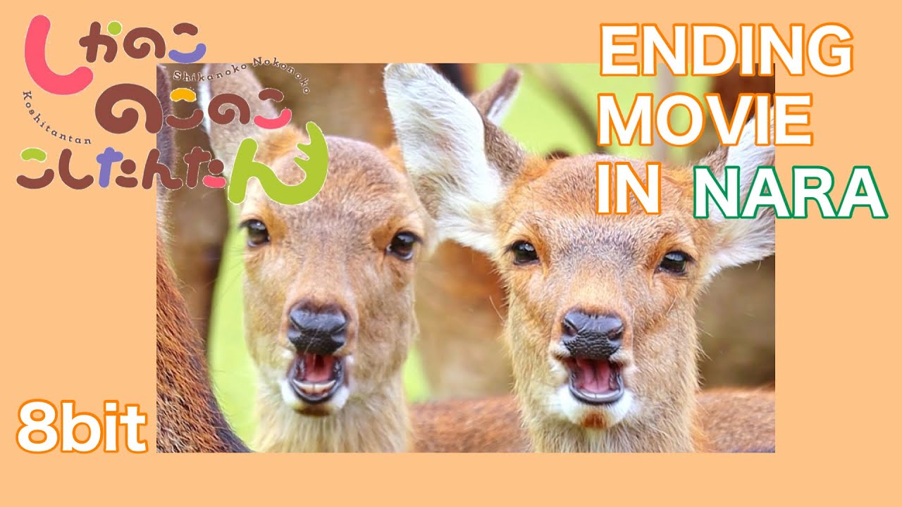 鹿せんべいの歌（The Deer Cracker March） - 奈良公園バージョン (My