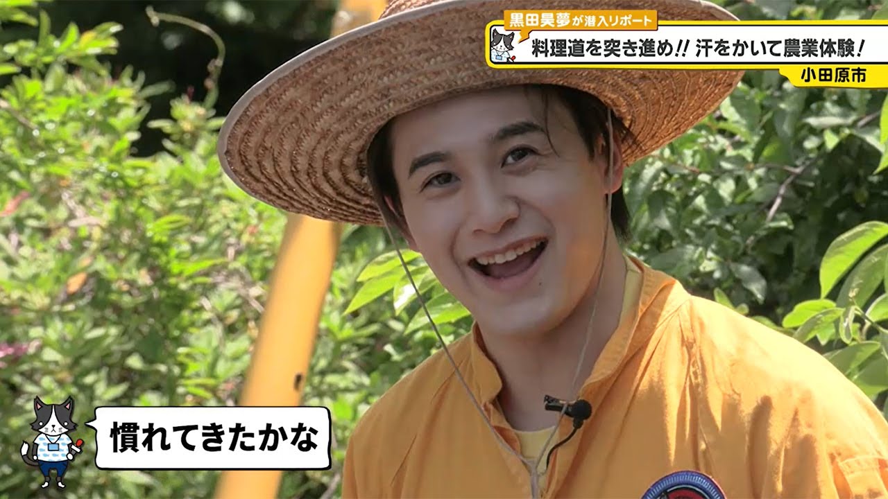 猫のひたいほどワイド #1573 リポート大賞・黒田昊夢「料理道を