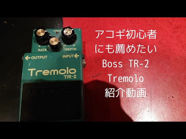 アコギ初心者にも薦めたい -BOSS TR-2 Tremolo紹介動画- - YouTube