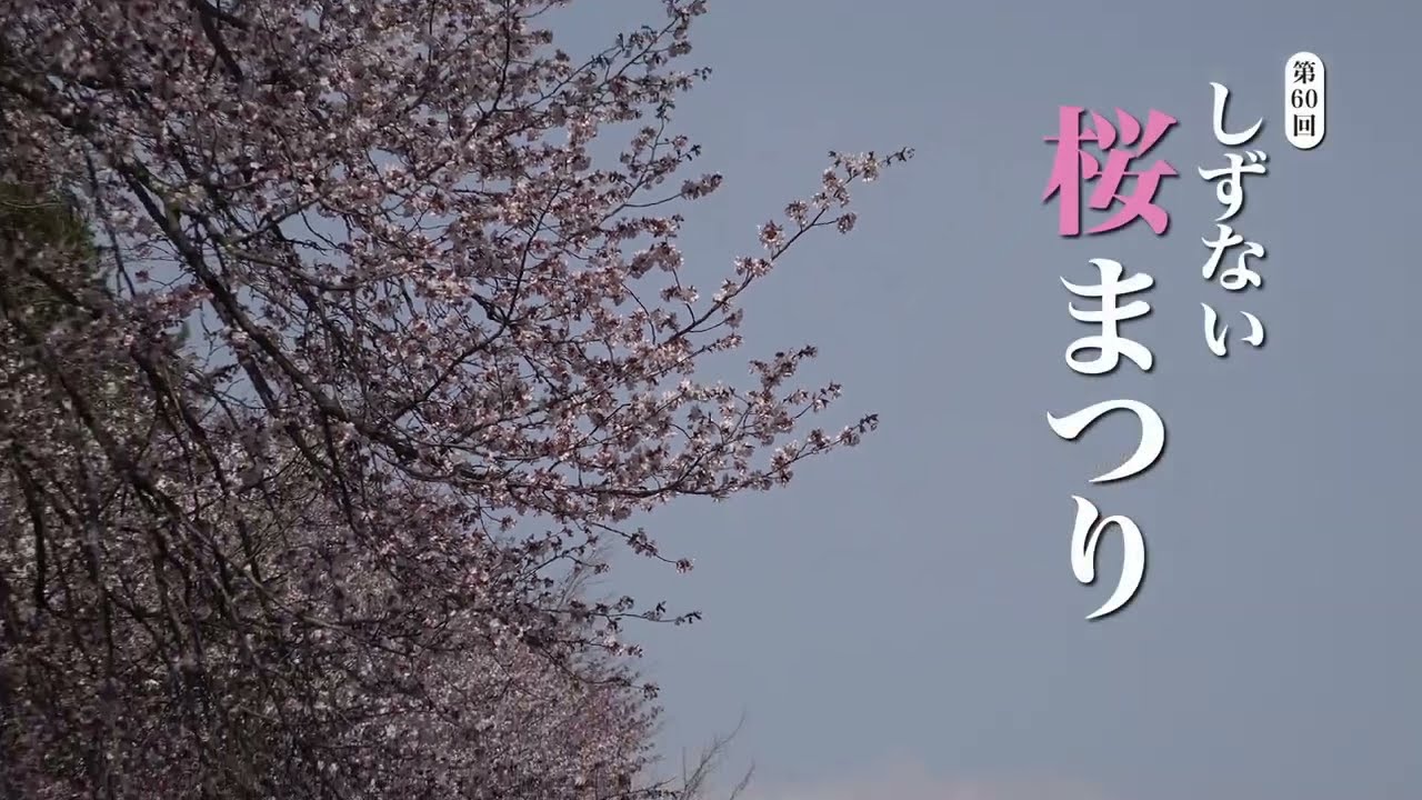 二十間道路桜並木 | 北海道新ひだか町