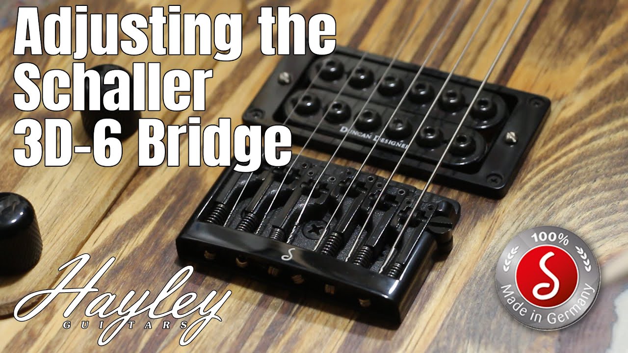 How to Adjust the Schaller 3D-6 | An overview of the features and